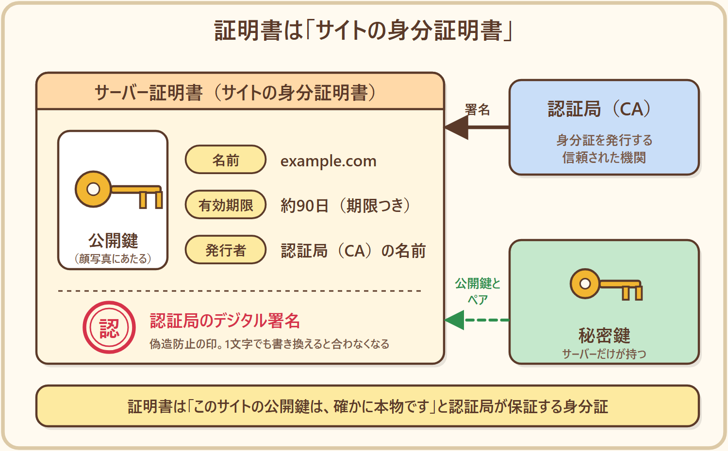 TLS証明書の中身を、身分証明書にたとえた図。持ち主の名前、公開鍵、有効期限、発行した認証局の名前と署名が入っている